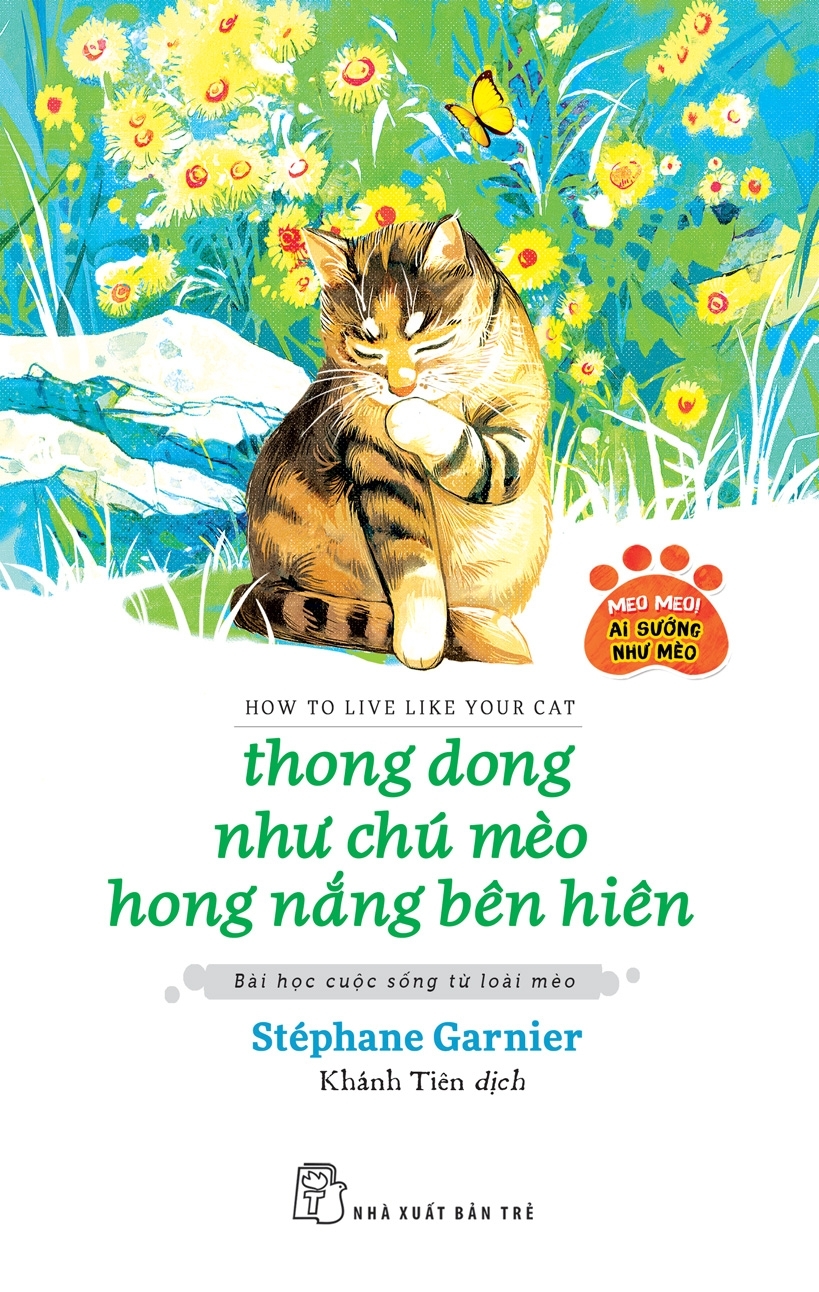THONG DONG NHƯ CHÚ MÈO HONG NẮNG BÊN HIÊN
